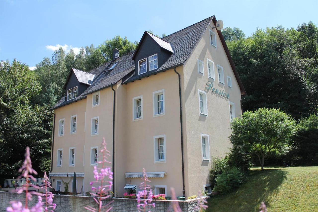 Appartements Im "Landhaus Am Frohnauer Hammer" Annaberg-Buchholz Buitenkant foto