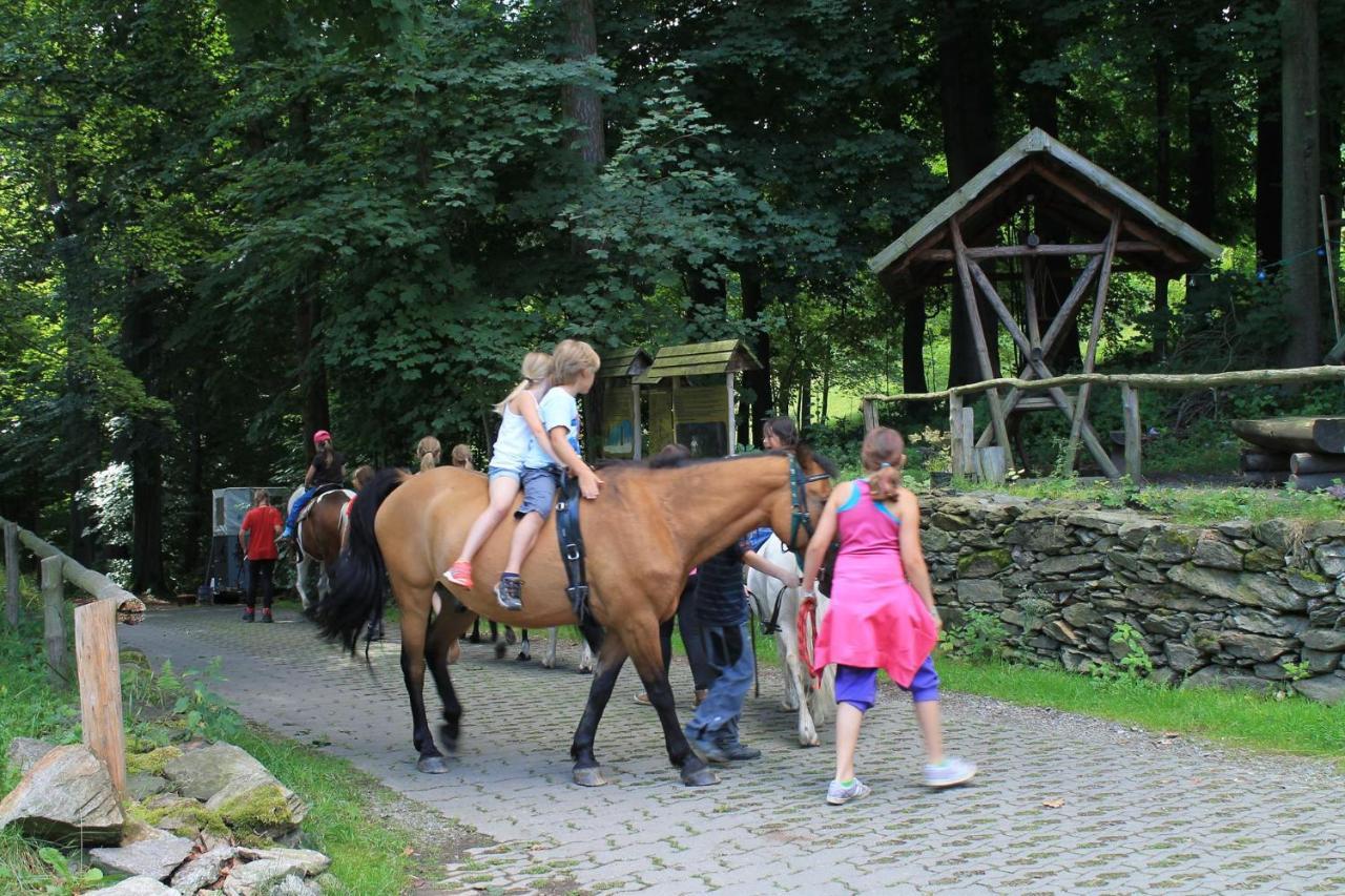 Appartements Im "Landhaus Am Frohnauer Hammer" Annaberg-Buchholz Buitenkant foto